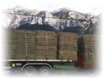 Camion transport de foin