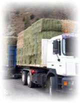 Camion transport de foin