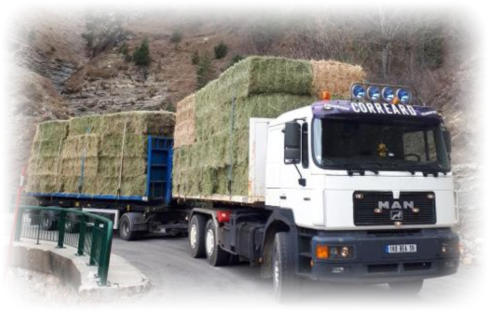 Camion transport de foin