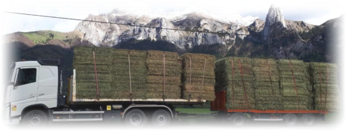 Camion transport de foin